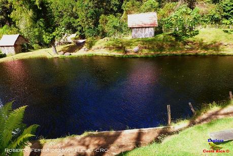 Truchas Selva Madre -San Isidro de El Guarco, Cartago-