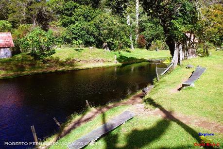 Truchas Selva Madre -San Isidro de El Guarco, Cartago-