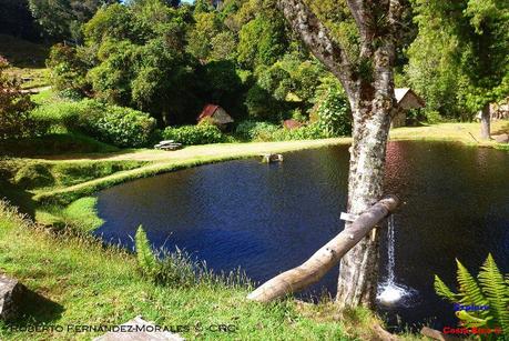 Truchas Selva Madre -San Isidro de El Guarco, Cartago-