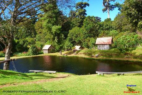 Truchas Selva Madre -San Isidro de El Guarco, Cartago-