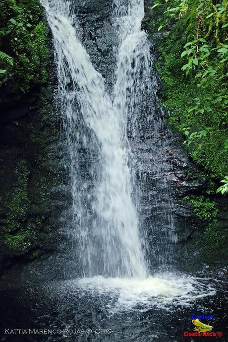 Truchas Selva Madre -San Isidro de El Guarco, Cartago-