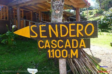 Truchas Selva Madre -San Isidro de El Guarco, Cartago-