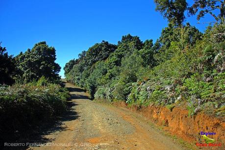 Truchas Selva Madre -San Isidro de El Guarco, Cartago-