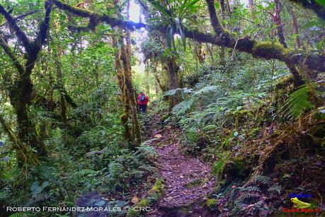 Truchas Selva Madre -San Isidro de El Guarco, Cartago-