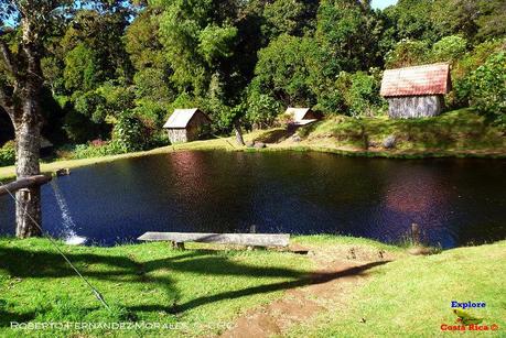 Truchas Selva Madre -San Isidro de El Guarco, Cartago-