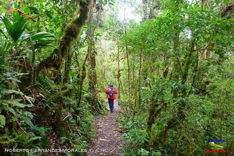 Truchas Selva Madre -San Isidro de El Guarco, Cartago-