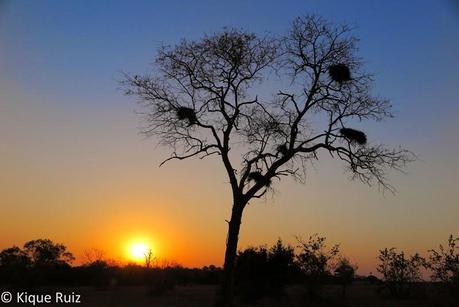 Review Canon G1X Mark II