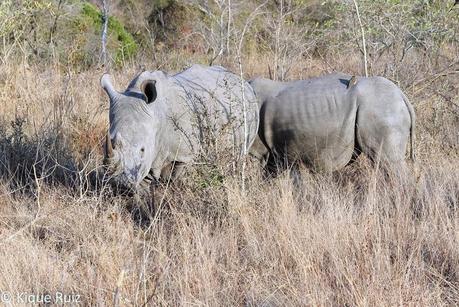 Review Canon G1X Mark II