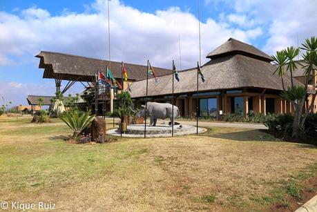 Regreso de mi safari fotográfico por Sabi Sand game reserve