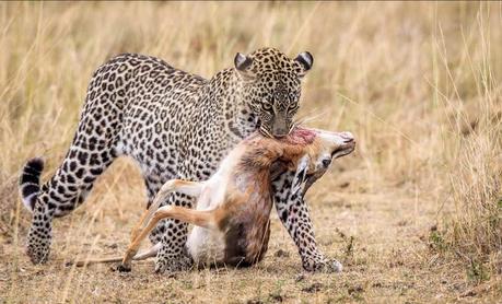 1x, la fotografía en mayúsculas