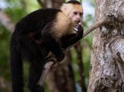 entradas sobre consejos leídas pinceladas naturaleza