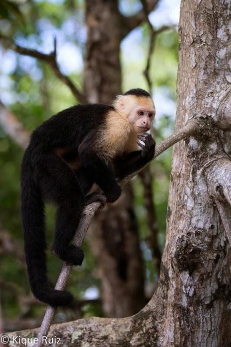 Las 5 entradas sobre consejos más leídas en pinceladas de la naturaleza