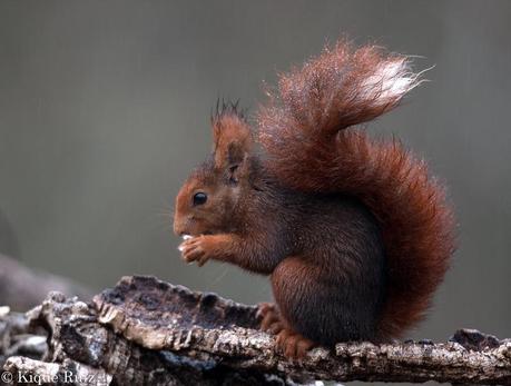Las 5 entradas sobre consejos más leídas en pinceladas de la naturaleza