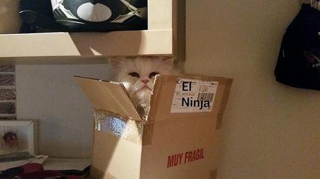 estamos tan agustito