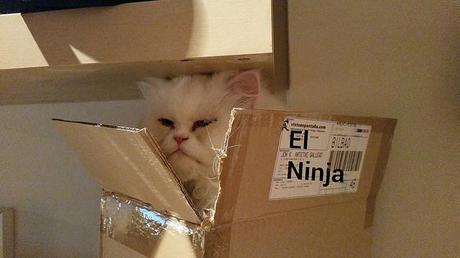 estamos tan agustito