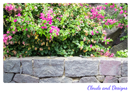 Proyecto de la A a la Z: con la d...