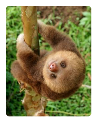 50 cosas sobre mi 50 cosas sobre mi