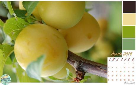 Calendarios agosto - Domingo de recomendaciones -