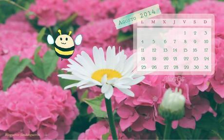 Calendarios agosto - Domingo de recomendaciones -