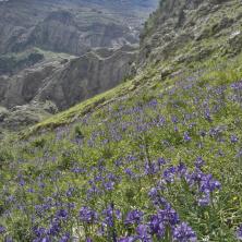 Parque Nacional de Ordesa y Monte Perdido - Pineta