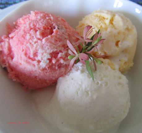 Helado de nata y yogur