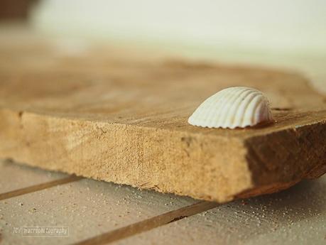 Plan Macro, septiembre