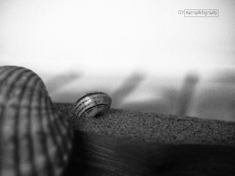 Plan Macro, septiembre