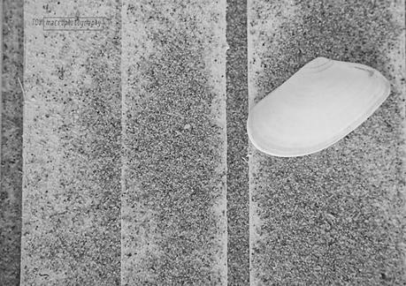 Plan Macro, septiembre