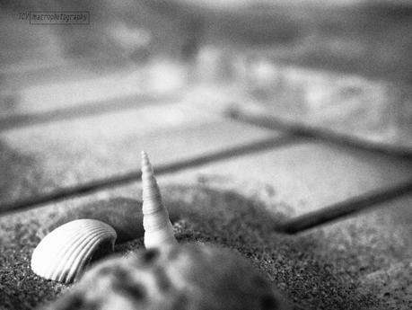 Plan Macro, septiembre