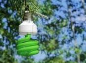 Bioenergia??