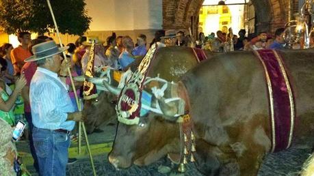 Martes Parlanchín #12