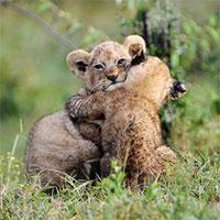 aceptar tu voz de cabeza