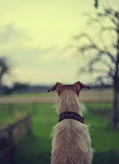 10 tendencias para la nueva temporada