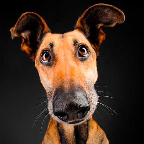 10 tendencias para la nueva temporada