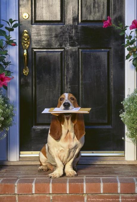 10 tendencias para la nueva temporada