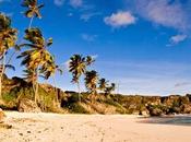 carrera campeones 2014 tendrá lugar barbados dias diciembre