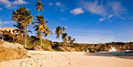 LA CARRERA DE CAMPEONES DEL 2014 TENDRÁ LUGAR EN BARBADOS LOS DIAS 13 Y 14 DE DICIEMBRE