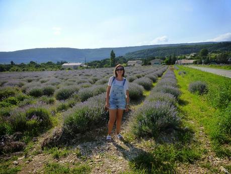 Mis vacaciones en La Provenza (Francia)