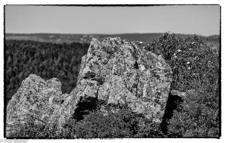 Ascensión al cerro de San Cristobal