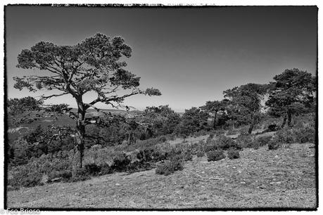 Ascensión al cerro de San Cristobal