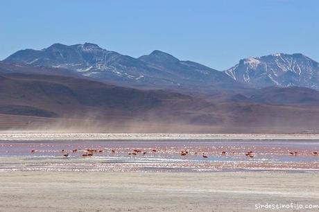 Tour del Salar de Uyuni