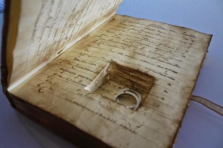 Porta Alianzas Y Porta Arras