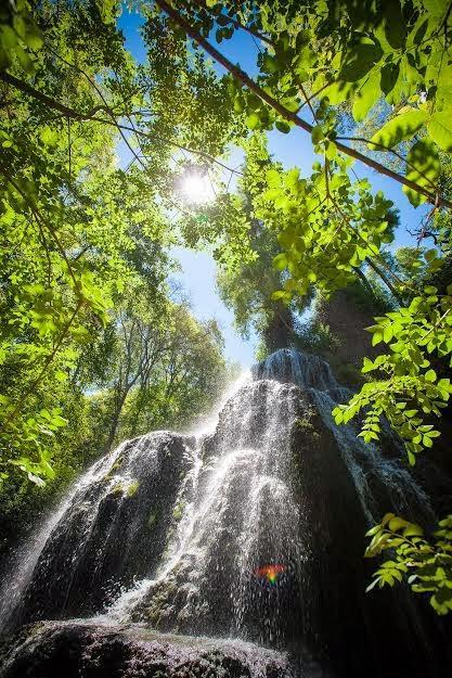 Monasterio de Piedra: un lugar de ensueño para celebrar tu boda Monasterio de Piedra: un lugar de ensueño para celebrar tu boda