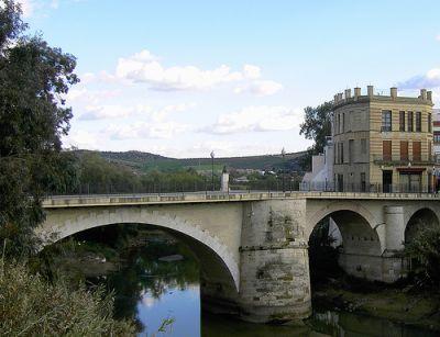 El poeta Juan Rejano y el tema de España en la poesía española contemporánea (LI)