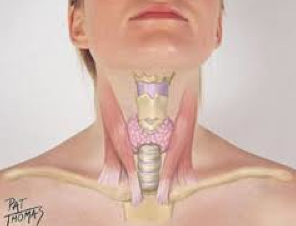 ¿La fibromialgia causa la pérdida de cabello? artricenter