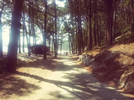 Vacaciones en Galicia. Las Islas Cíes