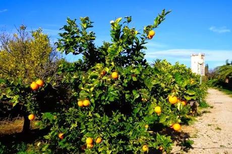 Nos apuntamos al slow life, y tu? 4 lugares con encanto slow life tancat de codorniu