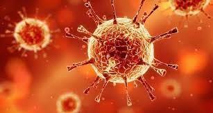 Jaque mate al Ébola