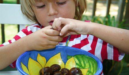los frutos secos en inglés