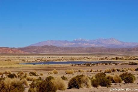 la Laguna Hedionda